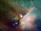Inside a Turbulent Star Factory