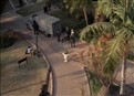 Perfect Crime picture