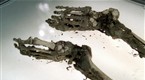 Bones: The Blonde In The Game (season 2, episode 4)