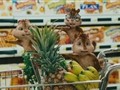 Grocery Store