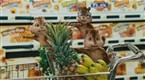 Alvin and the Chipmunks: Grocery Store