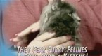 Maury: Outrageous Maury Guests...Where Are The Now? (season 5, episode 36)