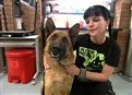 play video on Hulu