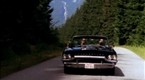 16587_145x80_manicured__wpegqwxttumrnzc7j8ud6g