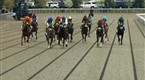 TVG: TVG The Toyota Blue Grass Stakes Recap