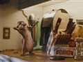 Morning With The Chipmunks