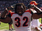 2009 Cincinnati Bengals