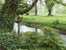 Ireland: Heritage and Culture in the Southwest
