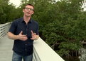 play video on Hulu