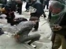 Video Appears to Show Syrian Forces Beating Protesters