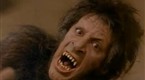 An American Werewolf in London