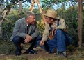play video on Hulu