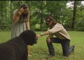 play video on Hulu