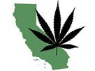 FORA.tv Economy | Season 1 Episode 19 | Marijuana Economics 2010: Debating Prop 19