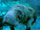 ORF Universum Documentaries | Season 1 Episode 30 | Ol Man River Mississippi