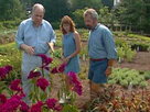 Home Again with Bob Vila | Season 7 Episode 21 | Shingle Style: Kitchen Work and Landscaping