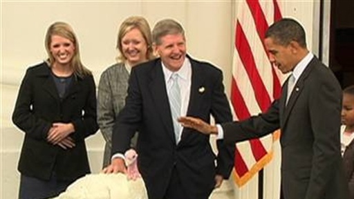 One Lucky Bird at White House