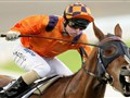 Jockey Liam Hollins the Favorite to Brutally Whip Horse to Kentucky Derby Win