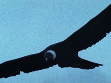 Undertakers of the Sky Video