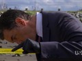 The Head, the Tail, the Whole Damn Episode