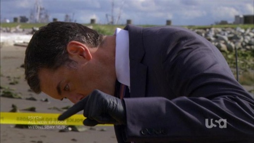 The Head, the Tail, the Whole Damn Episode Video