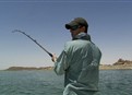 play video on Hulu