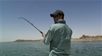 03x04 Man Vs. Perch Screenshot
