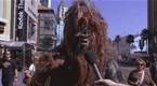 Chewbacca Responds!