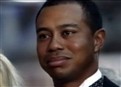Cops Cite Woods For Reckless Driving picture