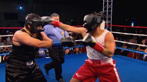 Fight Night
