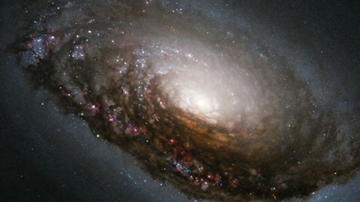 Hubble's Hottest, Volume II