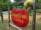 Visit to Boggy Creek Part 2