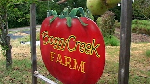 Visit to Boggy Creek Part 2