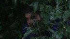 Rafe's Stake-Out