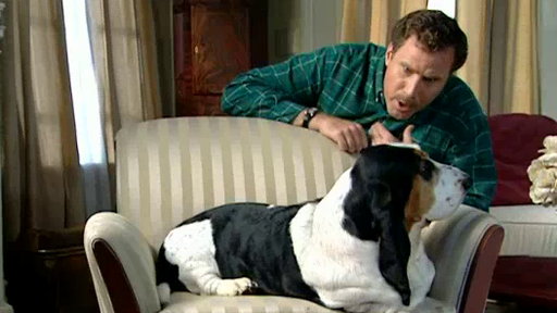 Dissing Your Dog