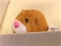 NBC TODAY Show - Hottest Holiday Toy Unsafe for Kids?