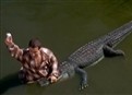 Alligator Wrestle picture