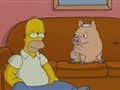 Pig Crap