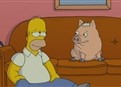 Pig Crap