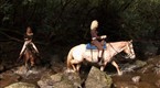 Destination X: Horsepower