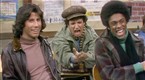 Welcome Back, Kotter: One Flu over the Cuckoo's Nest (season 1, episode 19)