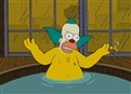 All About Lisa picture