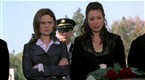 Bones: The Pain in the Heart (season 3, episode 15)