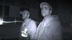 Crickets vs. Bats