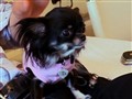 Million Dollar Listing - Massage for Starla