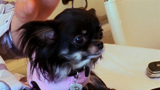 Massage for Starla