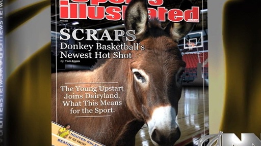 2-Year-Old Donkey Called Up To Pro Donkey Basketball League