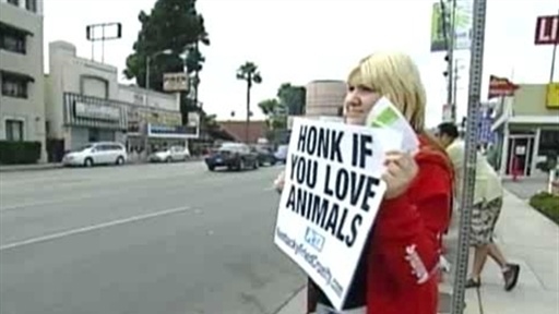 Animals Do Not Belong To Us