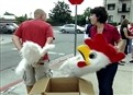 Chicken Suit picture