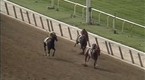 TVG: TVG Features:  The Elusive Crown